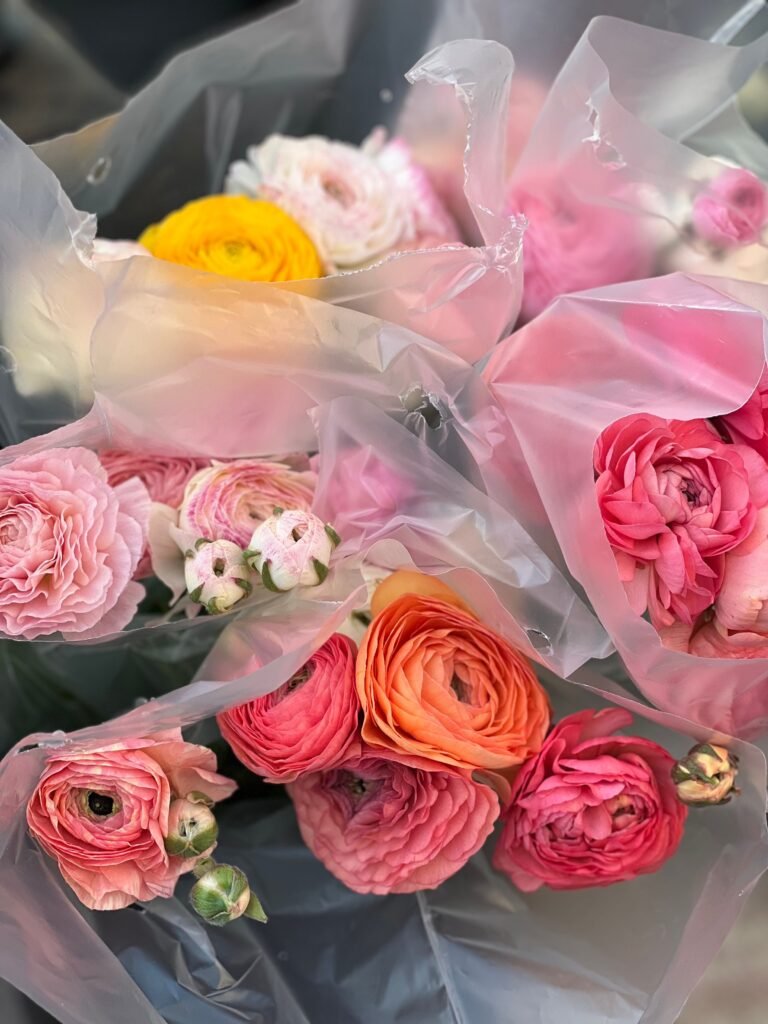 The Best Time to Plant Ranunculus Corms for Stunning Blooms